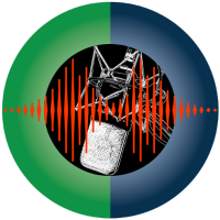 Rob Sogomonian - Professional Voice Actor for E-Learning & Narration