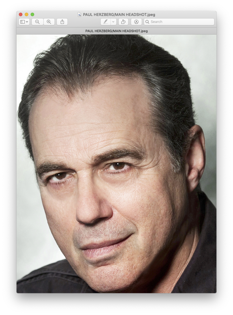 Paul Herzberg - Professional Voice Actor for Narration & Commercial