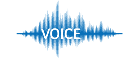 Paul Kriner - Professional Voice Actor for Commercial & Narration